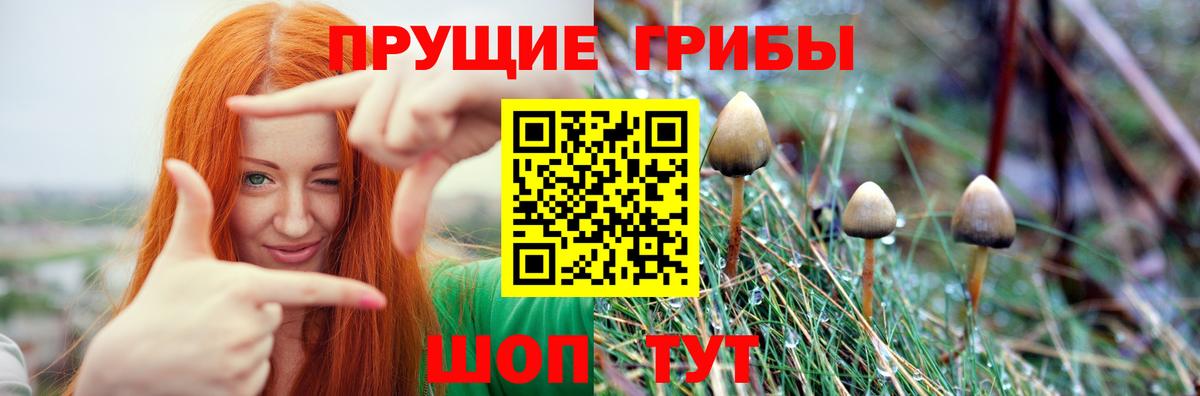 Галлюциногенные грибы Cubensis  Вход с VPN  Нефтекумск 